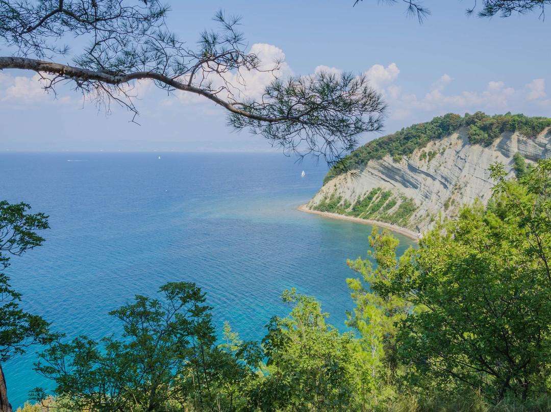 Trail Above the Cliffs of Strunjan-Strunjan必去景点