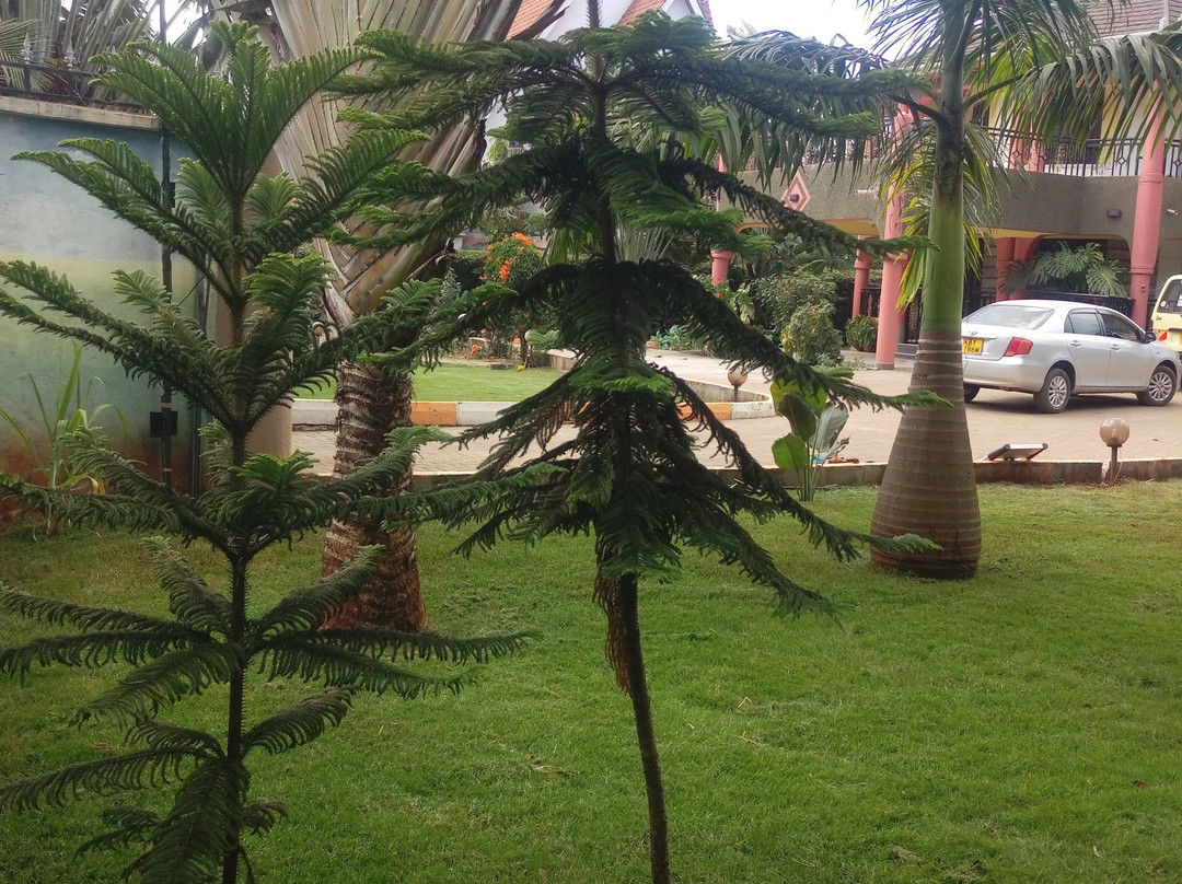 Wasili Kenya Safaris-内罗毕必去景点