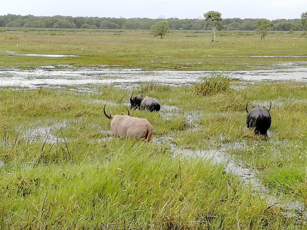 Thale Noi Bridge景点图片