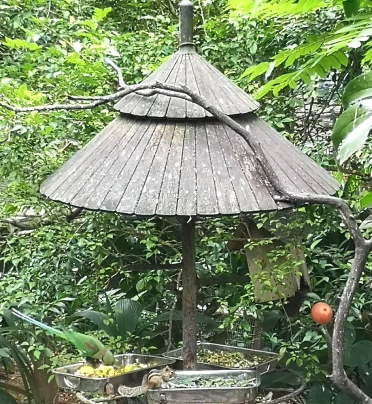 National Zoological Gardens of Sri Lanka景点图片