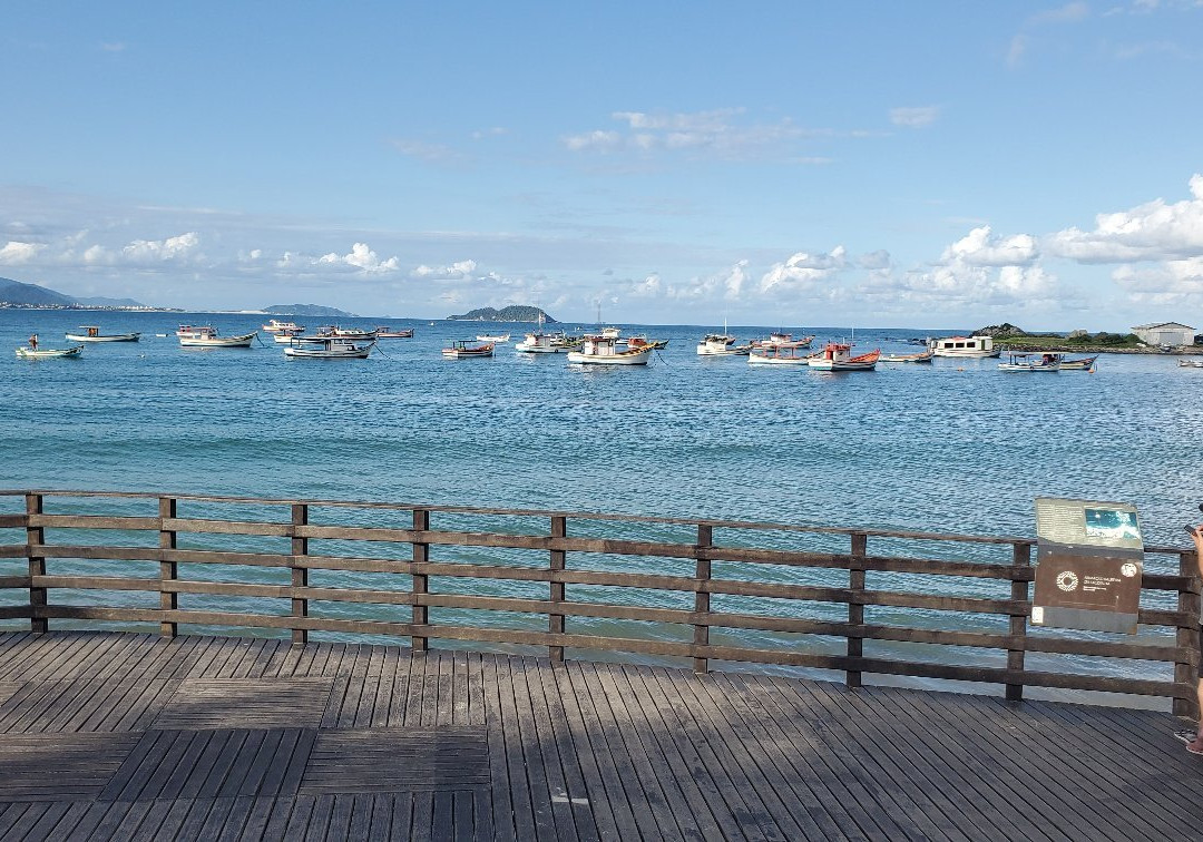 Armacao Beach景点图片