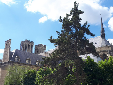 In Vox Veritas-兰斯必去景点