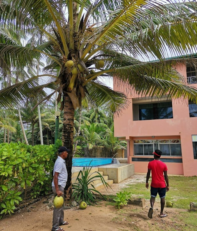 Roy Villa Beach Hotel主图