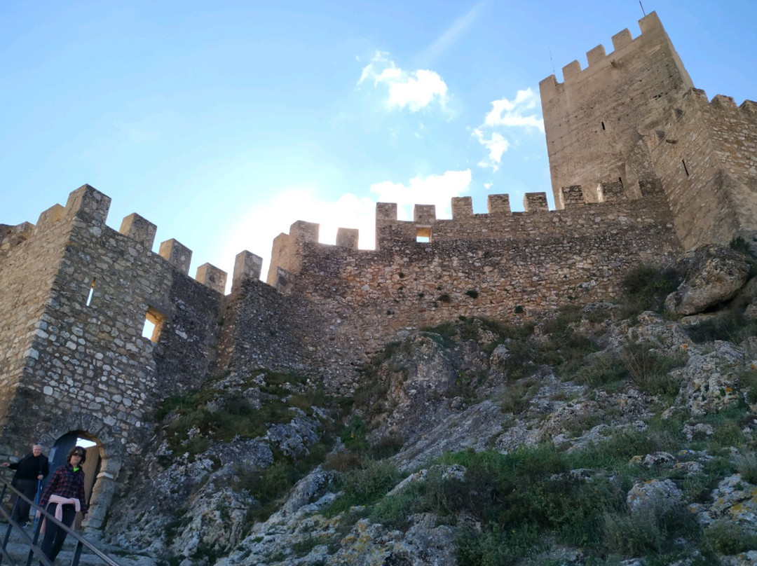 Castle Baneres景点图片