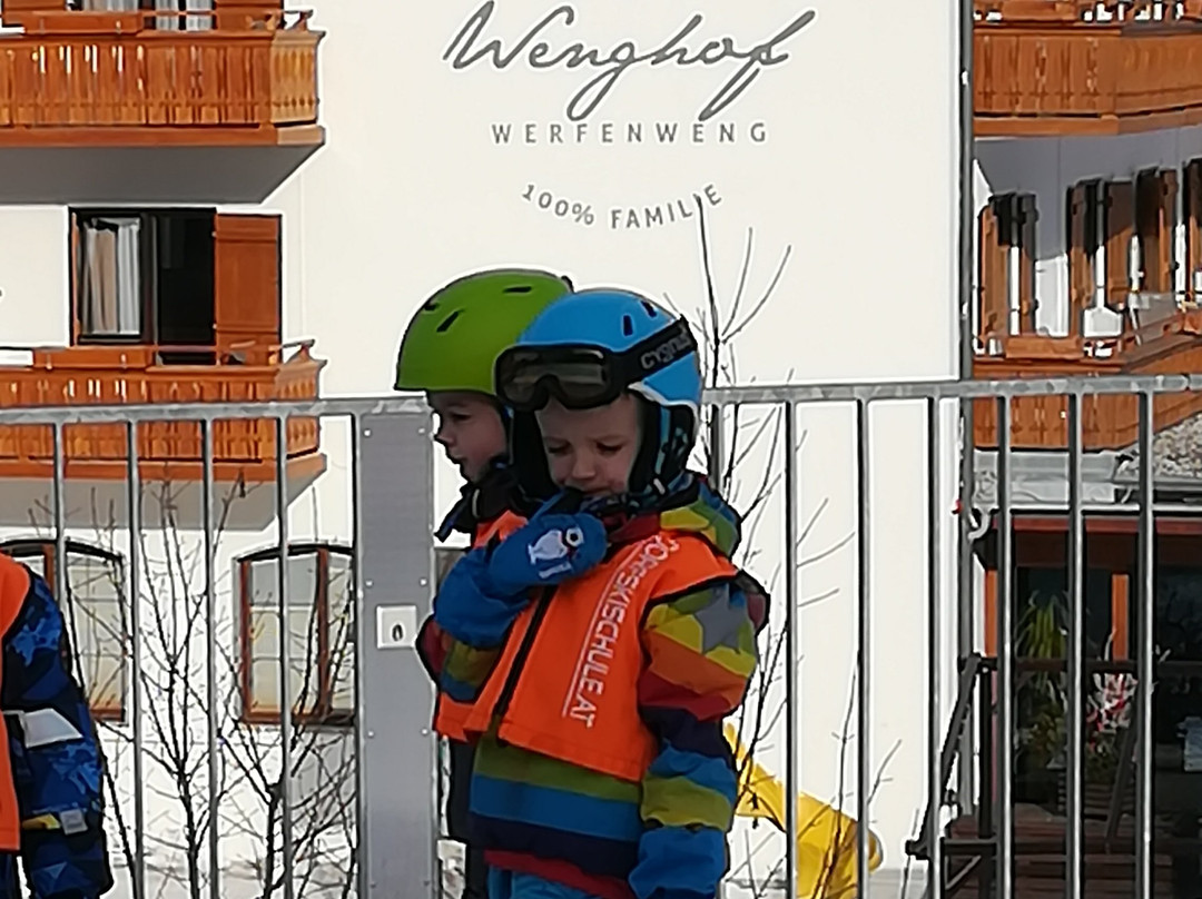 Gut Wenghof - Family Resort Werfenweng主图