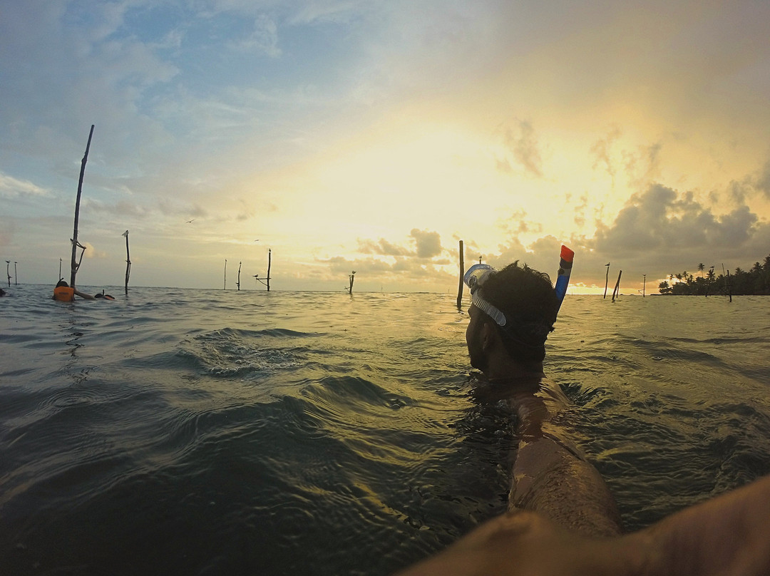 Polhena Diving Center-马塔拉必去景点