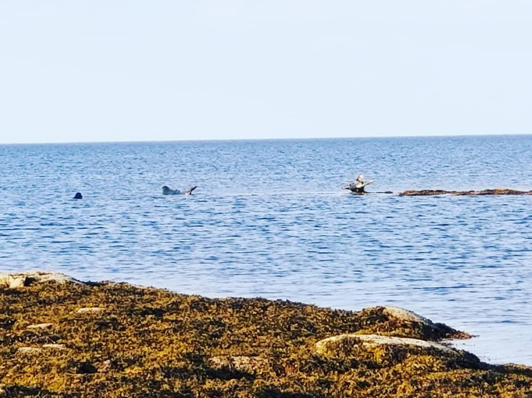Tidnish Dock Provincial Park-Tidnish必去景点