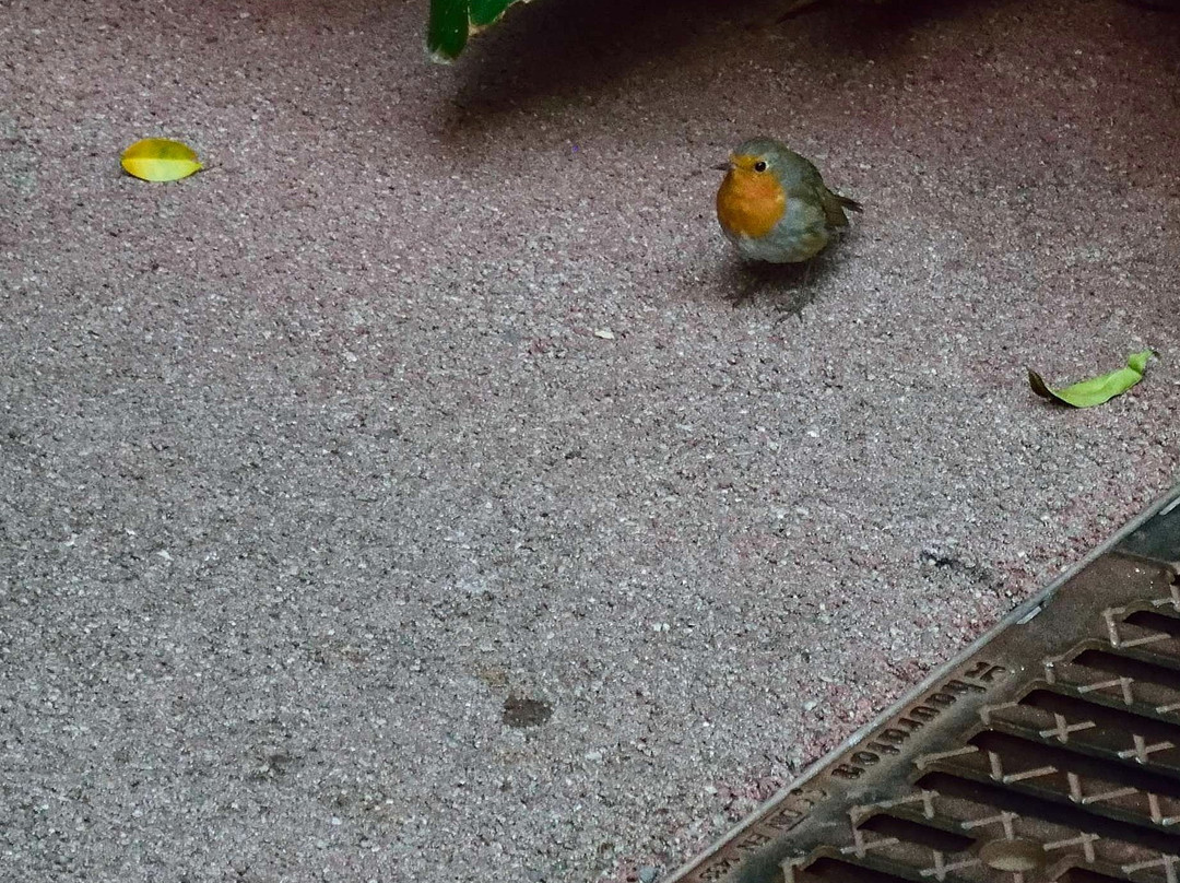 Chemin des Sculptures-丰维耶必去景点