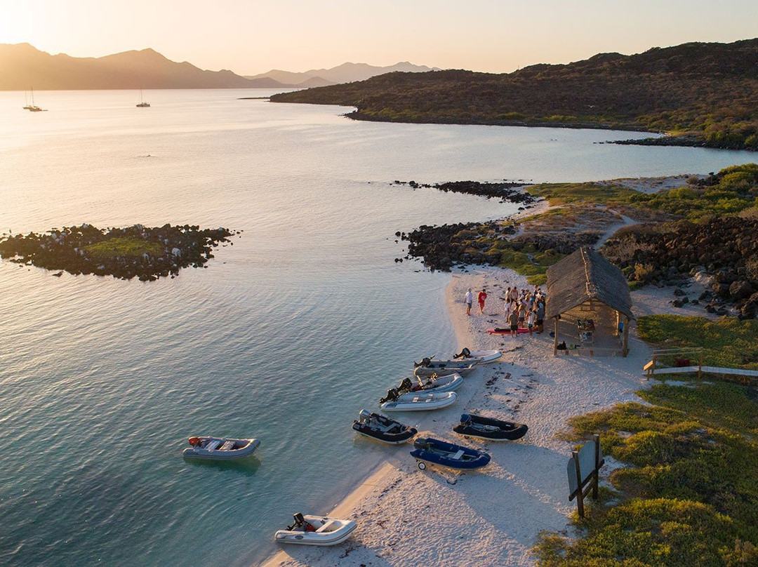 West Coast Multihulls-洛雷托必去景点