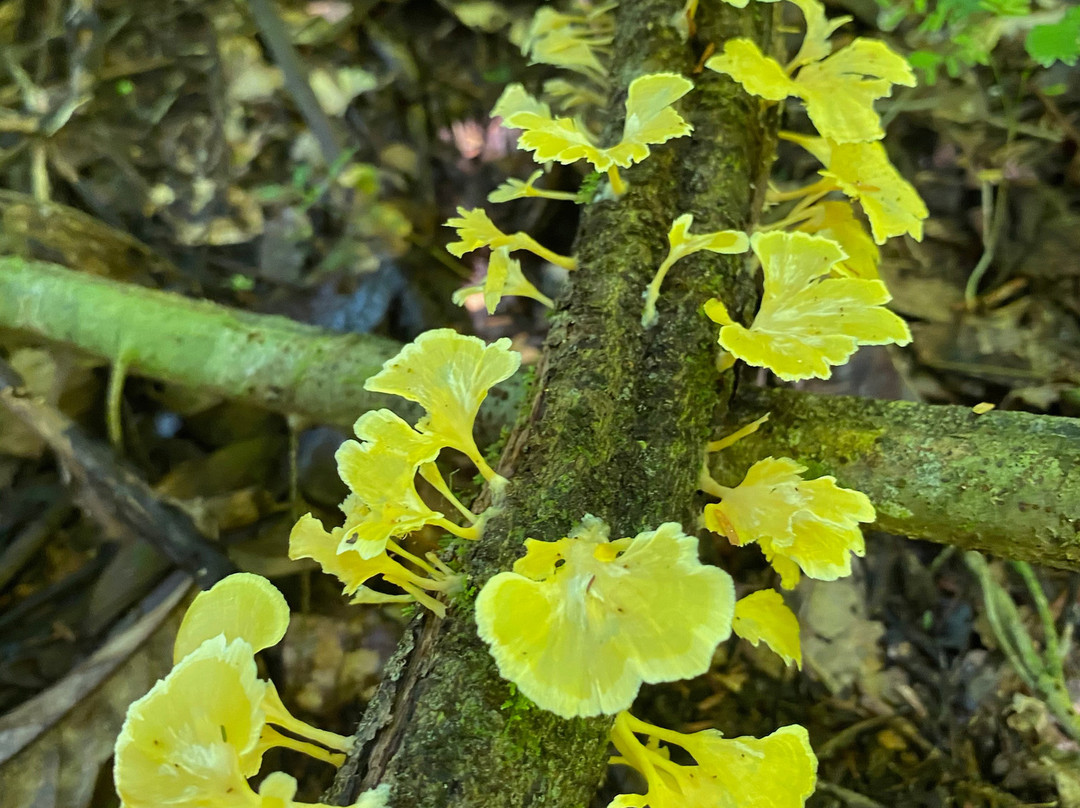 Cristalino Lodge主图