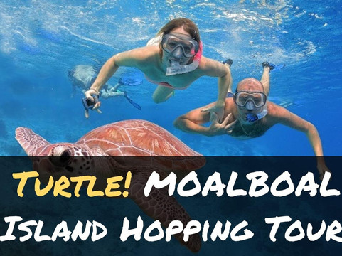 HaveFunCebu-奥斯洛布必去景点