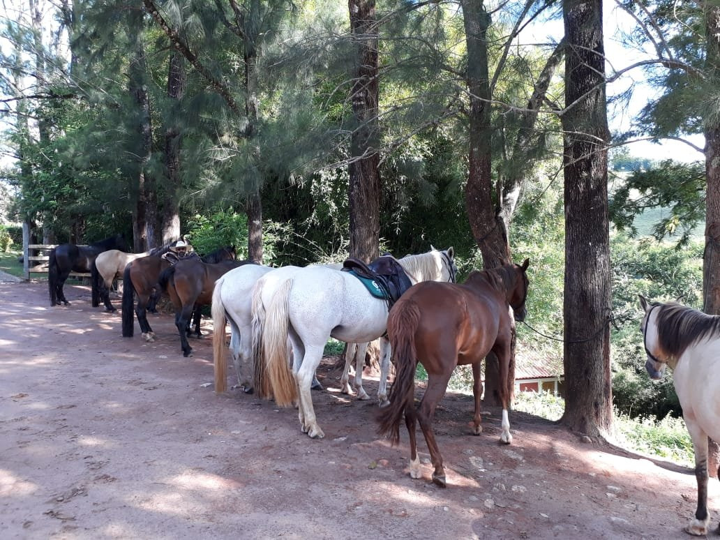 Hotel Serraverde主图