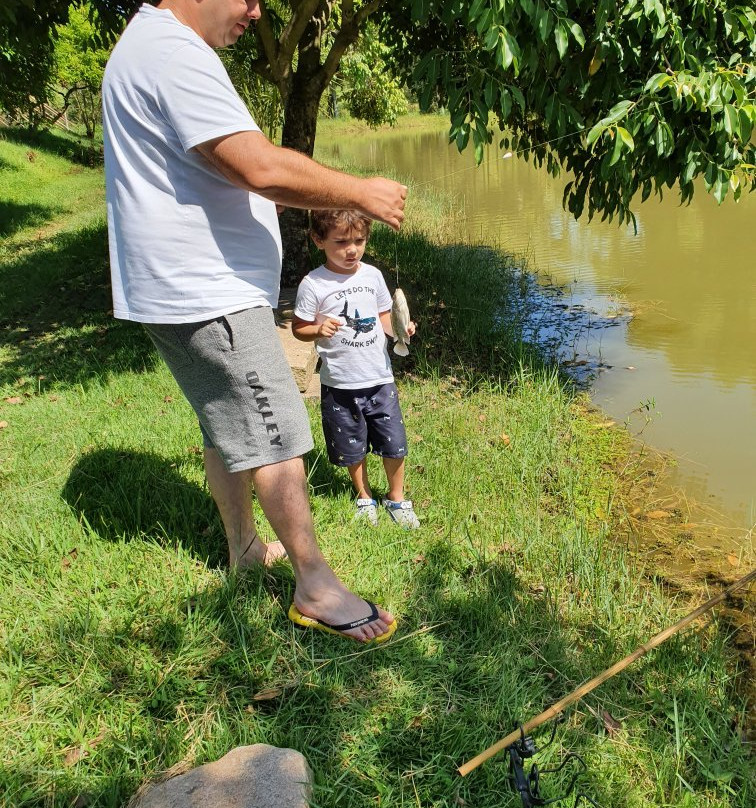 Pousada do Bosque主图