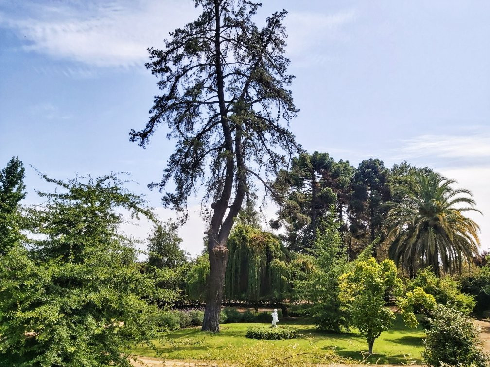 Vinedos Torreon de Paredes-Rengo必去景点