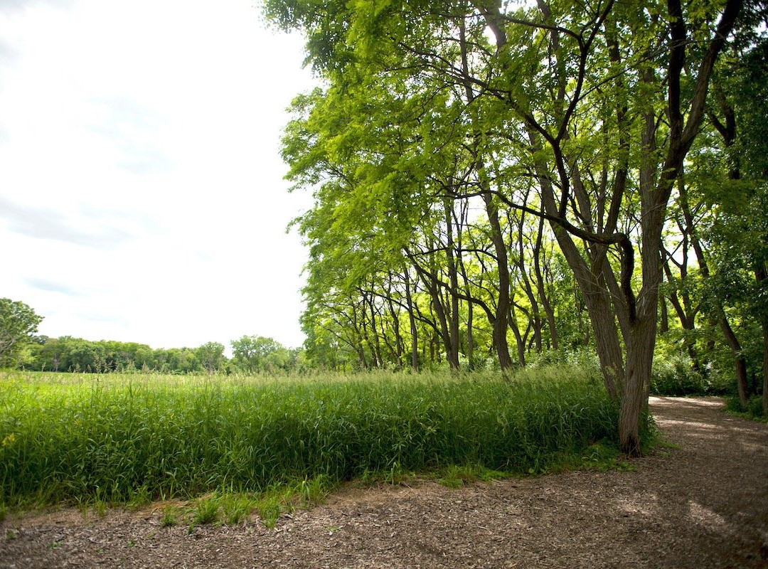 Lincoln Marsh Nature Preserve景点图片