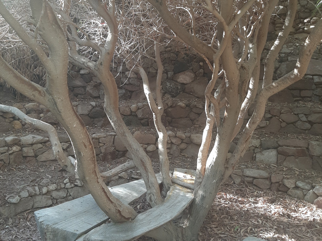 The Botanical Garden Of Eilat-埃拉特必去景点