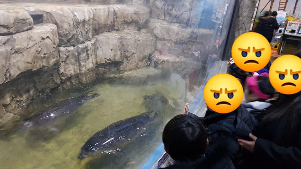 Play Aquarium Bucheon-富川市必去景点