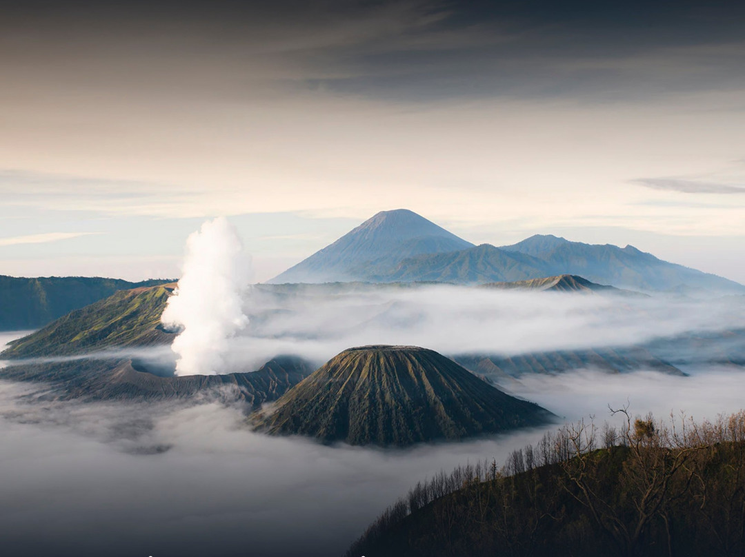 Bromokita Tour-玛琅必去景点
