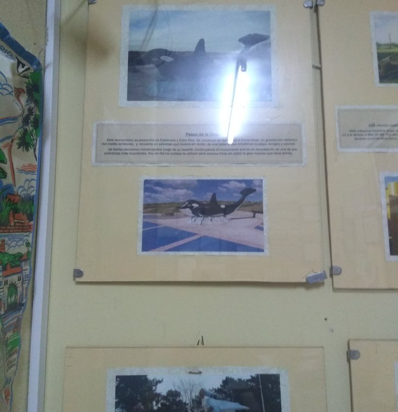 Museo Mar de Ajo-Mar de Ajo必去景点