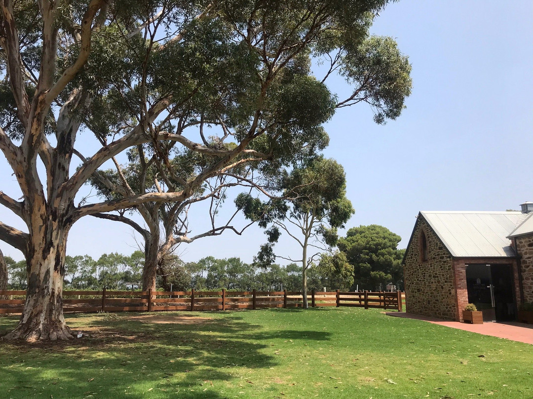 See Adelaide - Day Tours景点图片