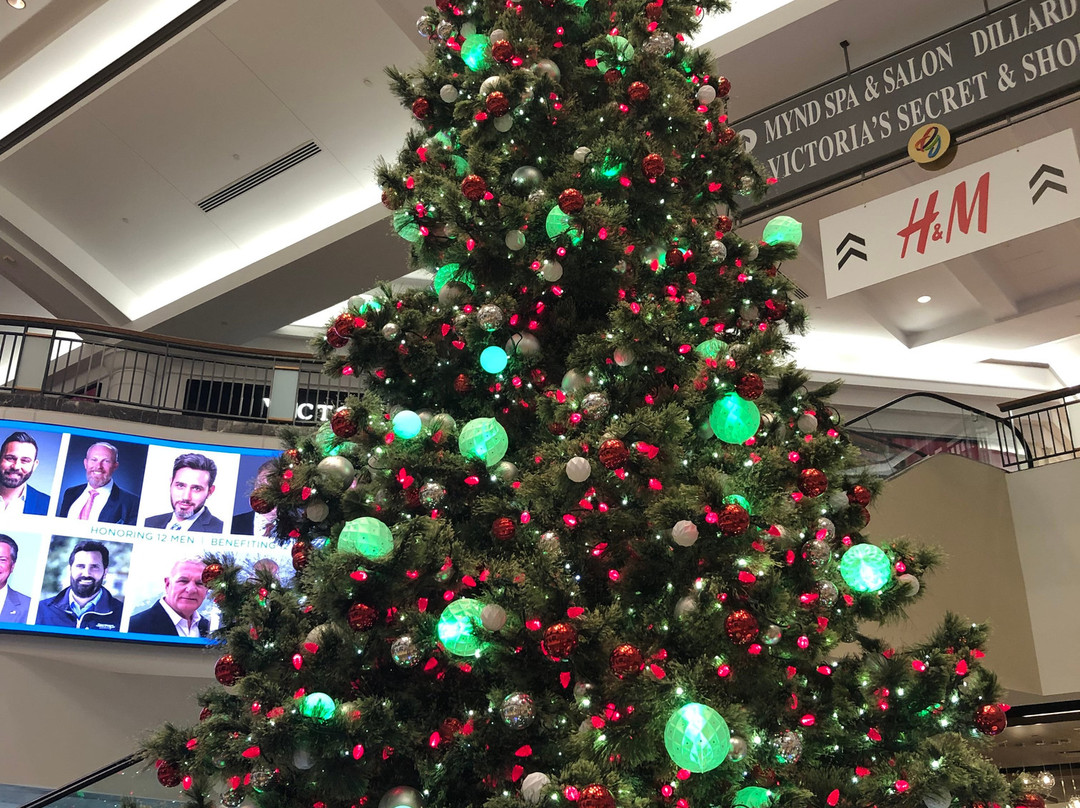 Galleria-劳德代尔堡必去景点