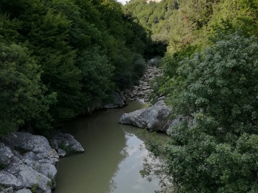 Ponte di Annibale景点图片