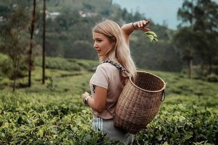 Trip My Kerala-柯钦必去景点