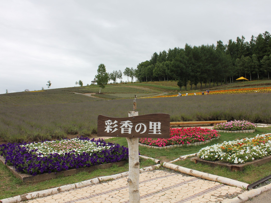 Saiko no sato Sasaki Farm景点图片