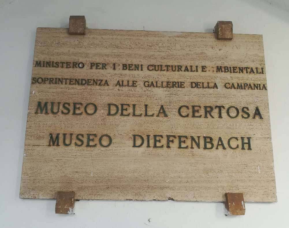 Museo Ignazio Cerio景点图片