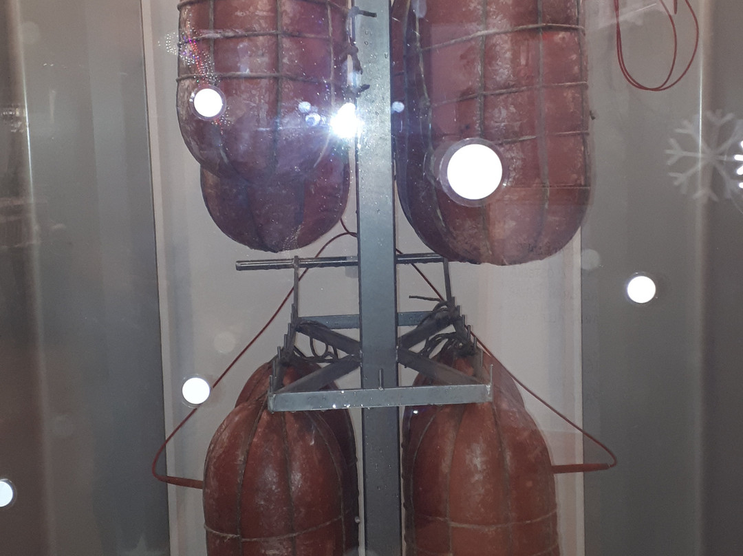 FICO World Eataly-博洛尼亚必去景点