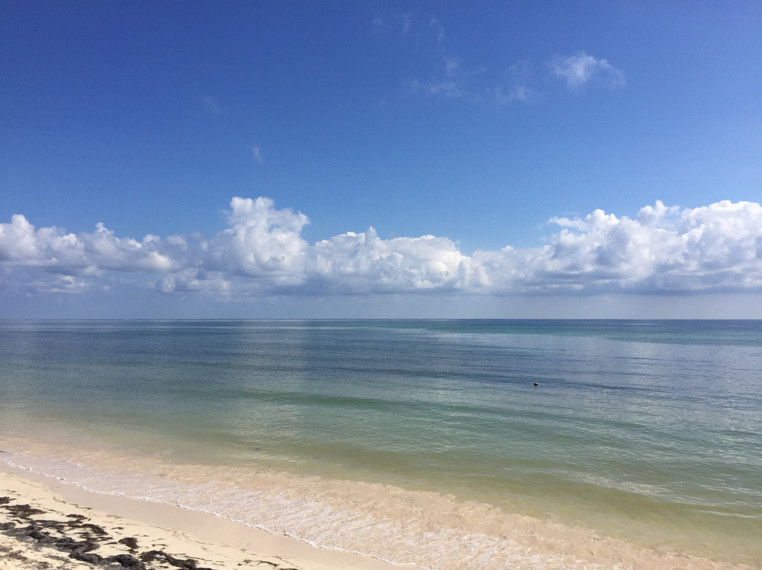 Hotel Casa del Puerto By MIJ主图