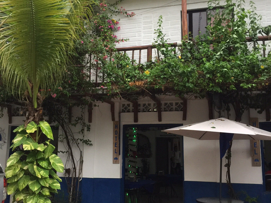 Hotel Las Palmas主图