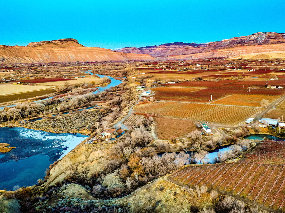 Avant Vineyards-Palisade必去景点
