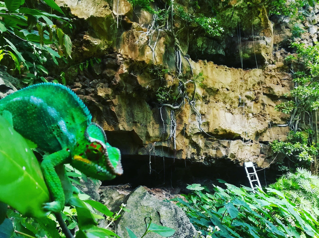 Tunnels de lave, Bazaltik Réunion景点图片