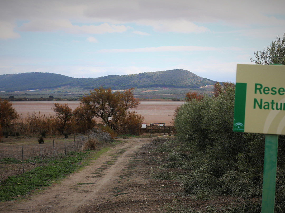Fuente de Piedra-安特克拉必去景点