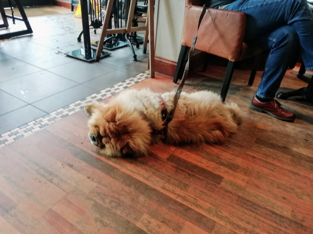 Twelve Cafe Bar, Baildon景点图片