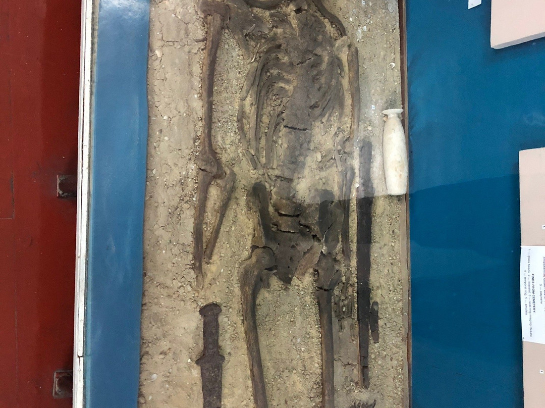 Odessa Archaeological Museum-敖德萨必去景点