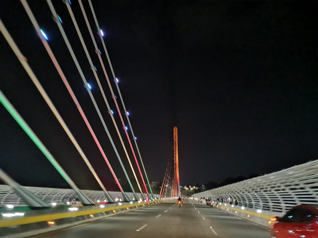 Puente del Bicentenario景点图片