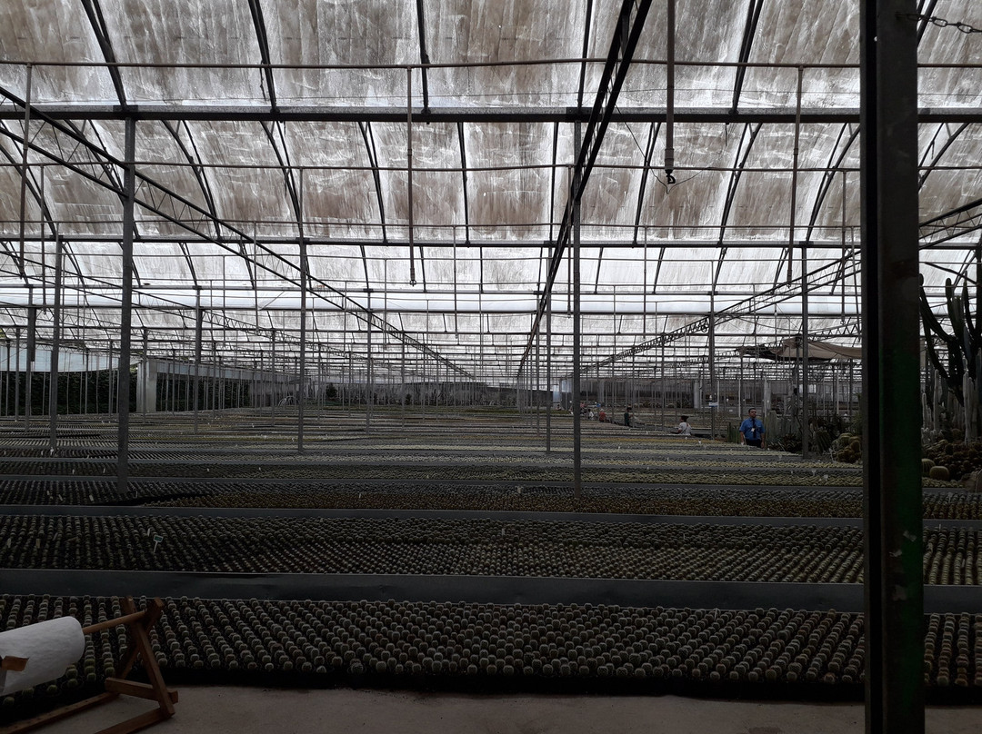 Cactário Horst-Imigrante必去景点