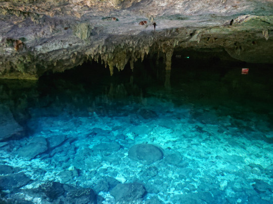 Planet Scuba Mexico-阿范特拉斯港必去景点