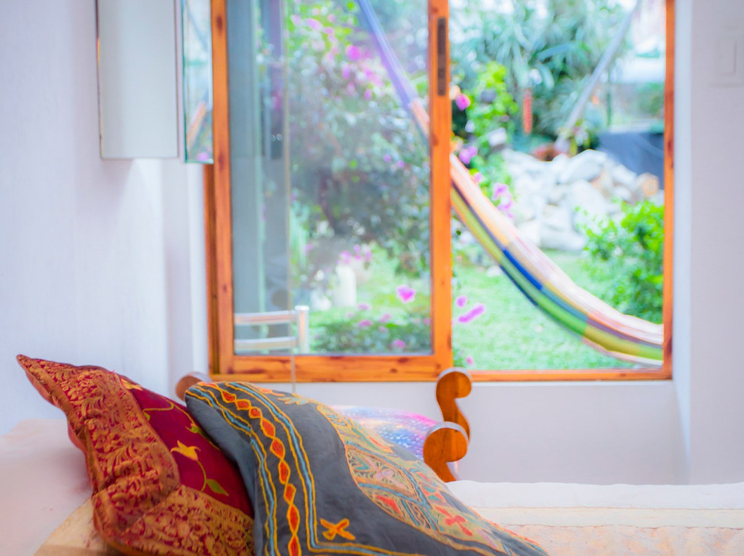 Posada Las Bromelias主图