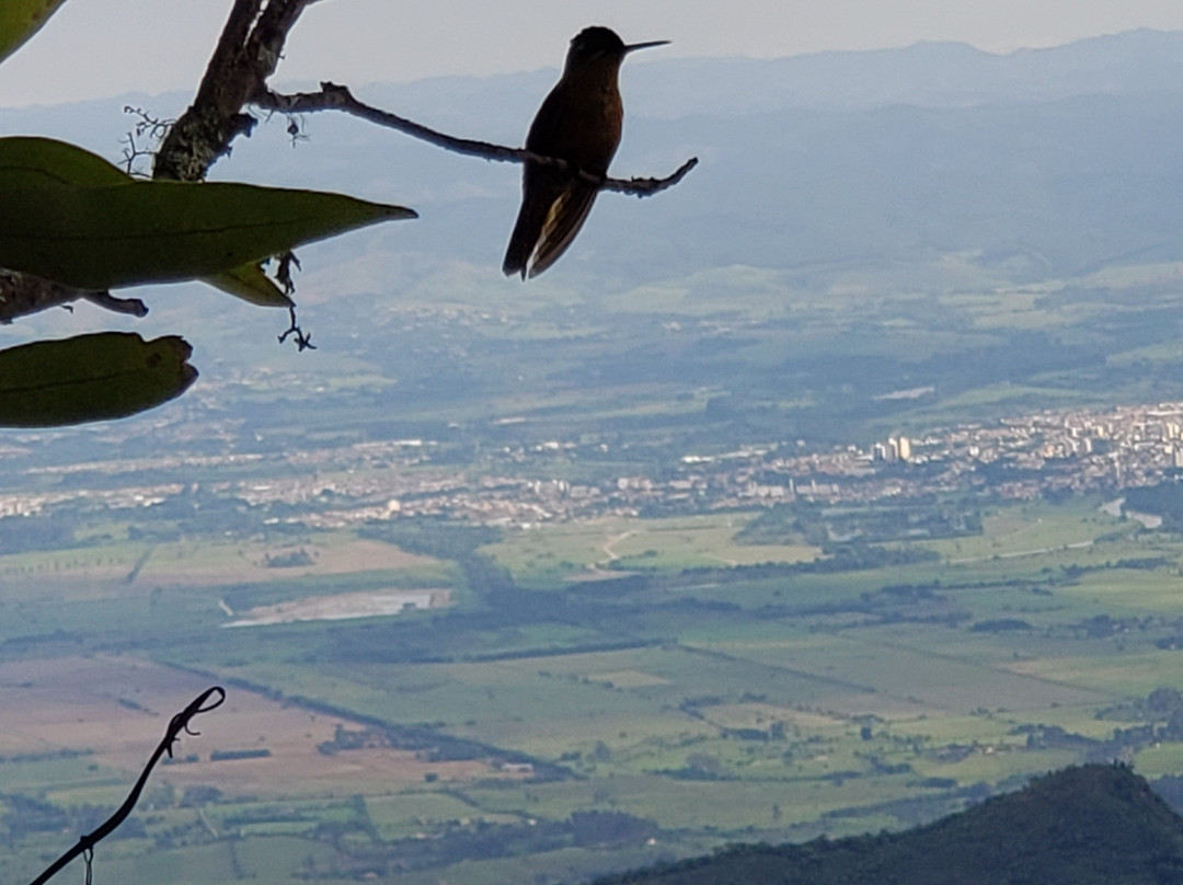 Itapeva Peak-Pindamonhangaba必去景点