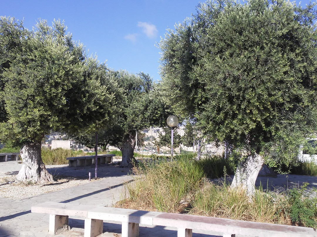 Hotel 7 Arches Jerusalem主图