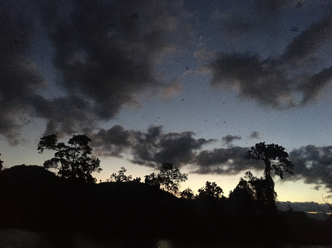 Dan Irby's Mangrove Adventures-Daintree必去景点