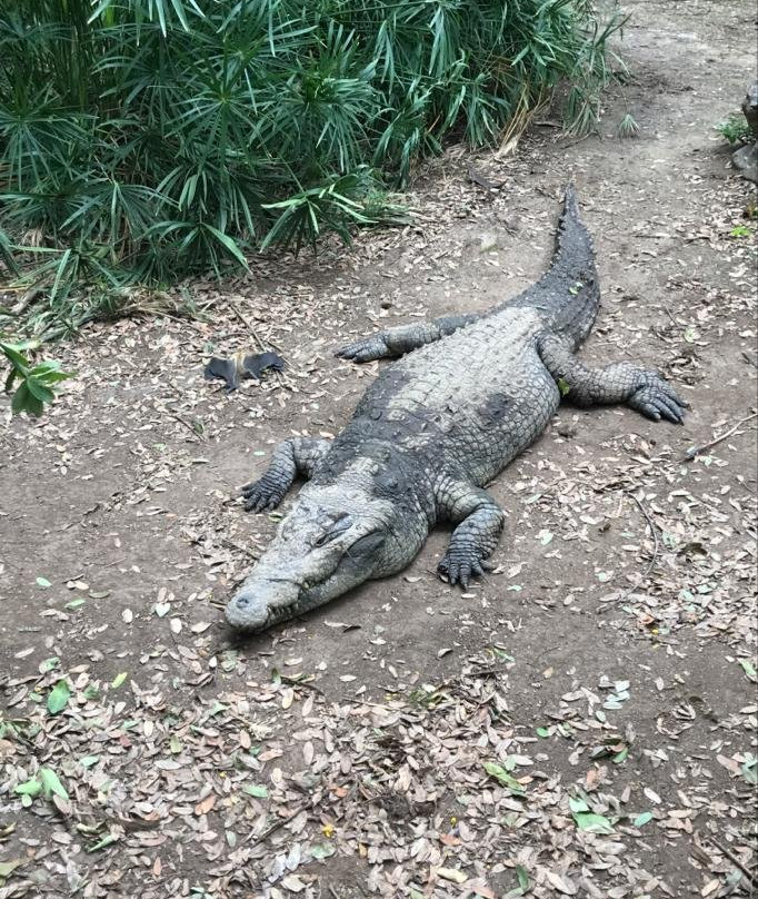 Northern Treks Tanzania-乞力马扎罗山国家公园必去景点