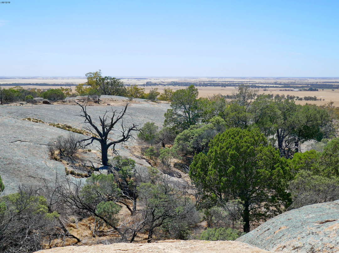 Terrick Terrick National Park-Mitiamo必去景点