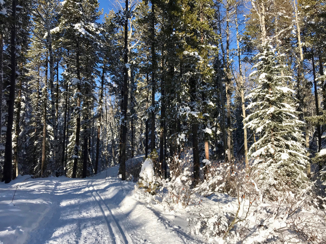 West Bragg Creek Day Use Area景点图片