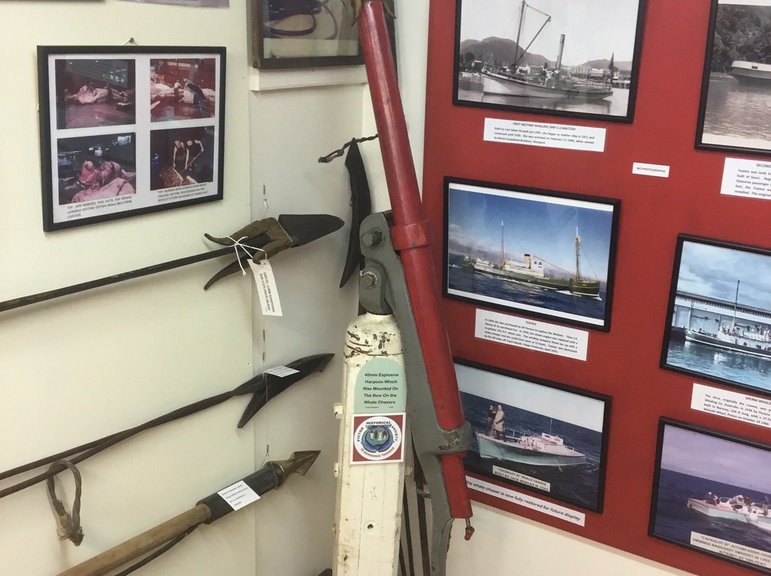Heritage & Whaling Museum Picton景点图片