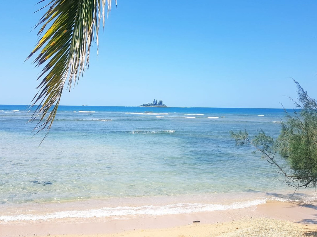 Tibarama Island-Poindimie必去景点