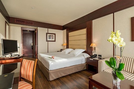 格拉纳达中心酒店-官方